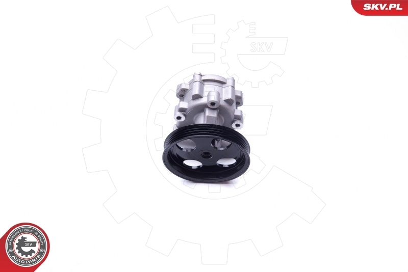 Hydraulic Pump, steering